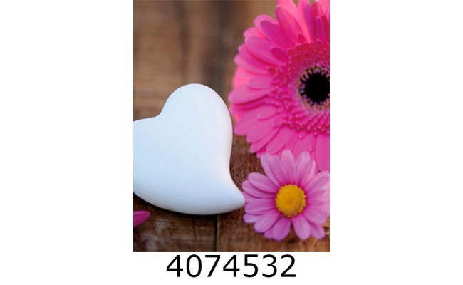 Ф/а 200ф. 10*15см PP-46200 Daisy (ромашка)(24)
