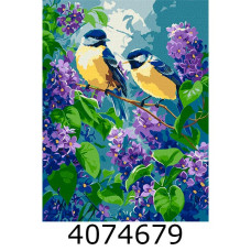 Картина по номерам 30*40см 