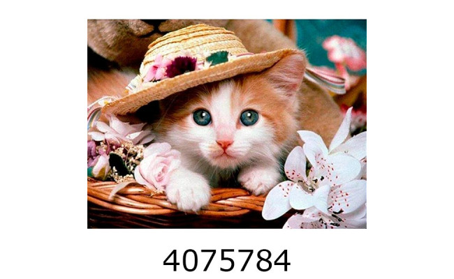 Алмазна мозаїка 20*30 