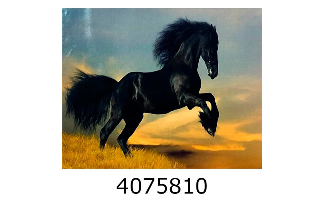 Алмазна мозаїка 30*40  