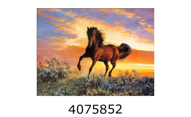 Алмазна мозаїка 40*50 