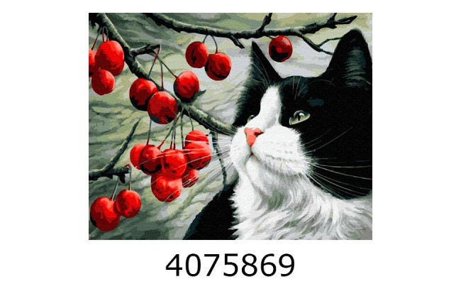 Алмазна мозаїка 40*50 