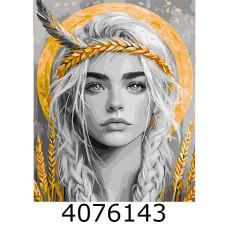 Картина по номерам 40*50см 