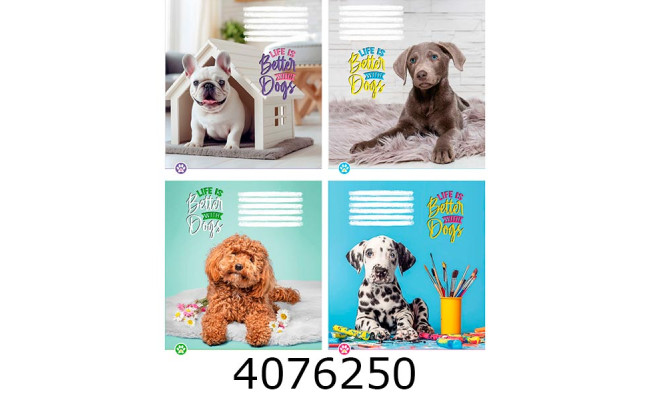 Зошит шк. 24 арк. лін. Поліграфіст 