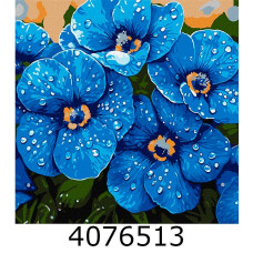 Картина по номерам 40*40см 