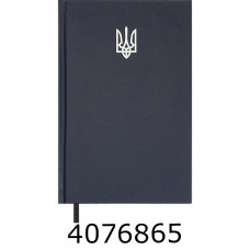 Щоденник А5 недат. Buromax  AIRY 