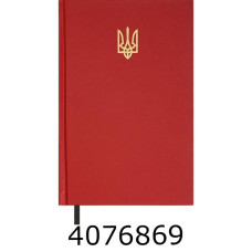 Щоденник А5 недат. Buromax  AIRY 