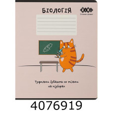 Зошит шк. 36 арк. кл. ZiBi  KIDS LINE CUTE CAT 