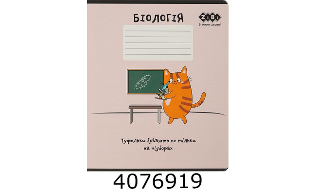 Зошит шк. 36 арк. кл. ZiBi  KIDS LINE CUTE CAT 