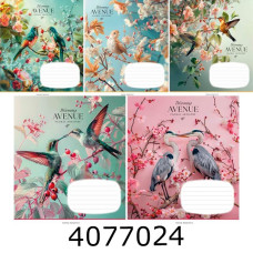 Зошит шк. 24 арк. кл. Школярик Star ВД-лак 