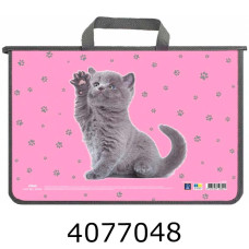 Портфель А4 дитячий пластик. Cool for school на блискавці  (30) MX30059
