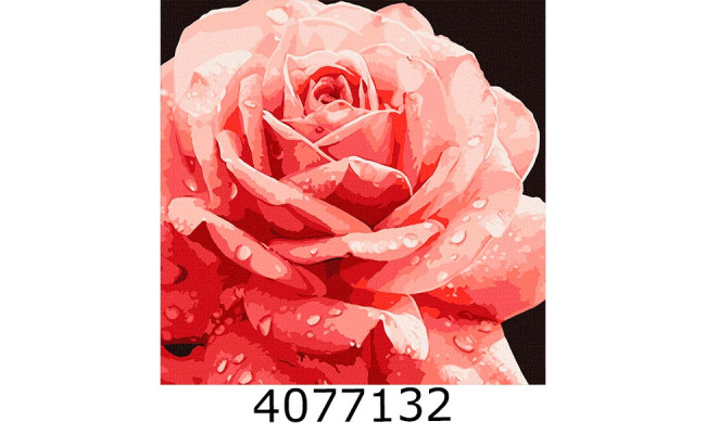 Картина по номерам 40*40см 