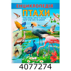 Цікава енциклопедія Птахи Пегас