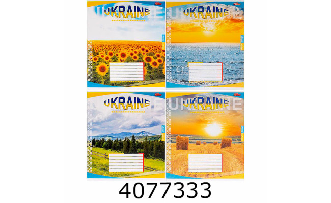 Зошит шк. 48 арк. кл. Мрії збуваються 
