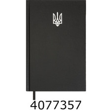 Щоденник А5 недат. Buromax  AIRY 
