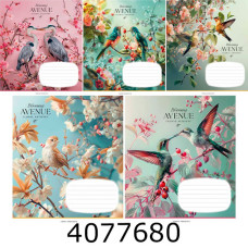 Зошит шк. 18 арк. кл. Школярик Star ВД-лак 