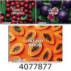 Альбом для малюв. на спір. 30 арк. Школярик УФ-лак 120г/м2 (9/63) PB-SC-030-8042 Альбом для малюв. на спір. 30 арк. Школярик УФ-лак 120г/м2 (9/63) PB-SC-030-8042
