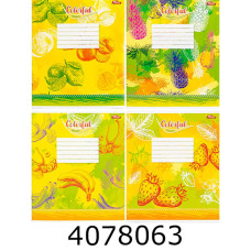 Зошит шк. 18 арк. лін. Мрії збуваються Зошит шк. 18 арк. лін. Мрії збуваються