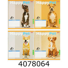 Зошит шк. 18 арк. кл. Мрії збуваються Зошит шк. 18 арк. кл. Мрії збуваються