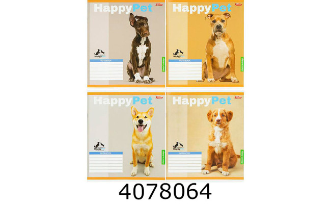 Зошит шк. 18 арк. кл. Мрії збуваються 