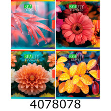 Зошит шк. 48 арк. кл. Мрії збуваються 