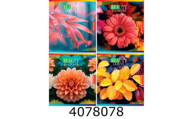 Зошит шк. 48 арк. кл. Мрії збуваються 