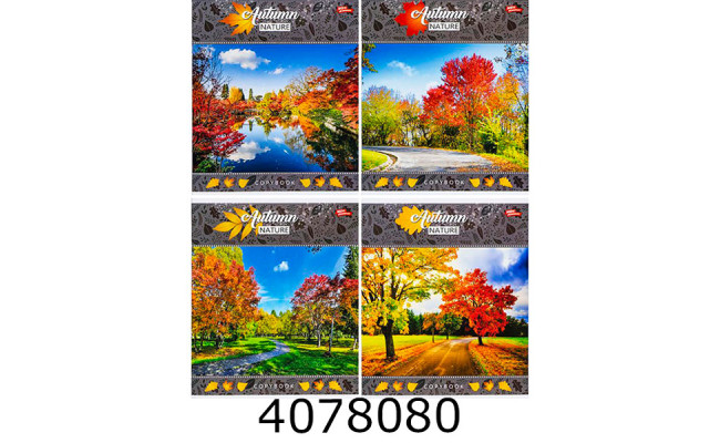 Зошит шк. 48 арк. лін. Мрії збуваються 