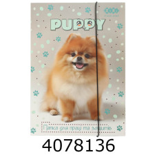 Папка для ручної праці та зошитів на гумках А4 DOG KIDS Line (5) ZB.14940-22