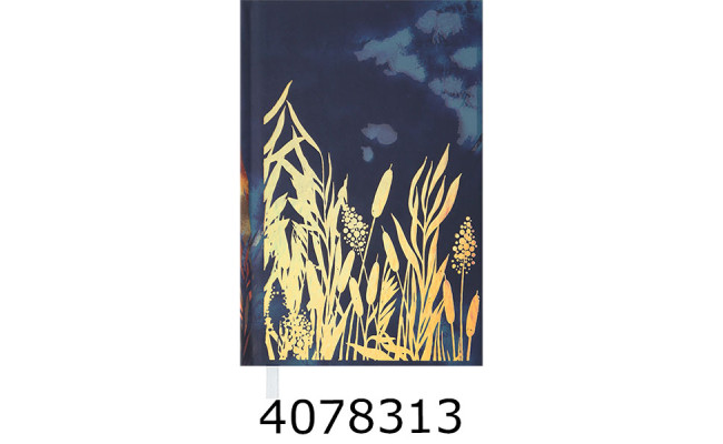 Щоденник А6 недат. Buromax ONLY синій (10) BM.2627-02