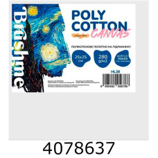 Полотно 25*25 Brushme HL28