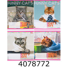 Зошит шк. 12 арк. лін. Мрії збуваються 