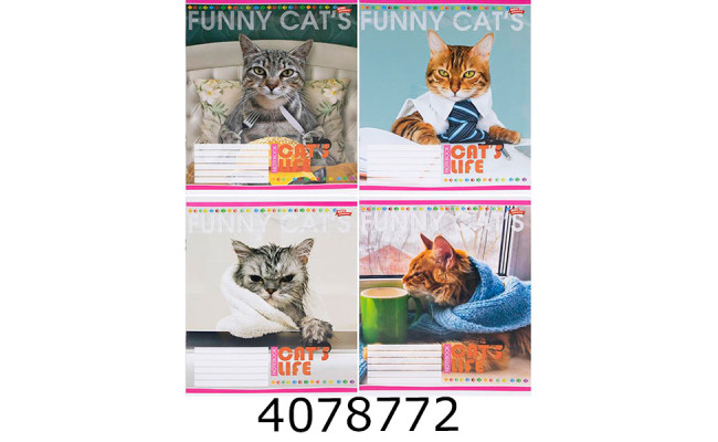 Зошит шк. 12 арк. лін. Мрії збуваються 