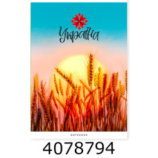 Канц. книга 48 арк. кл. офсет. Поліграфіст Канц. книга 48 арк. кл. офсет. Поліграфіст