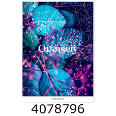 Канц. книга 48 арк. кл. офсет. Поліграфіст 