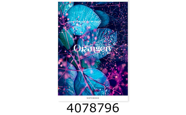 Канц. книга 48 арк. кл. офсет. Поліграфіст 