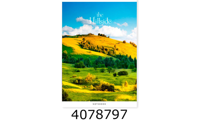 Канц. книга 48 арк. кл. офсет. Поліграфіст 