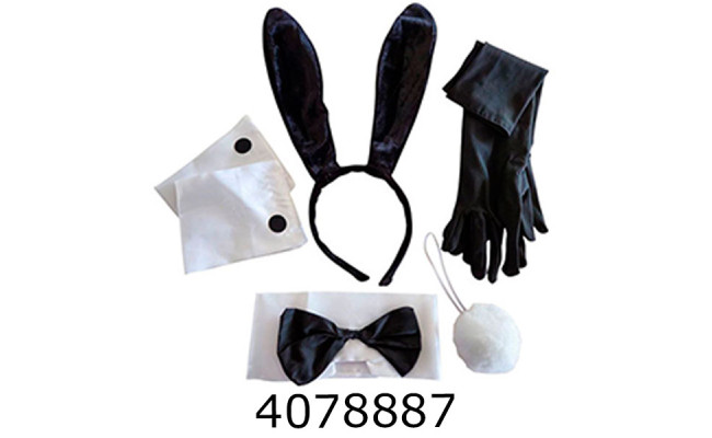 Хелловін. Набір Playboy MA26-117