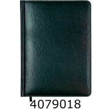 Щоденник А5 недат. Buromax  BRAVO 288 стр.обкл. штучна шкіра/поролон зелений BM.20020-04