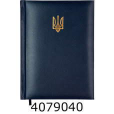 Щоденник А5 недат. Buromax POWERFUL 336стр.обкл. бумвініл/поролон темно-синій BM.20710-03