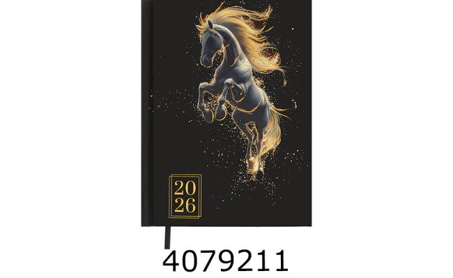 Щоденник А5 дат. 2026р. Buromax HEROES чорний (10) BM.2189-01