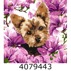 Картина по номерам 40*40см 