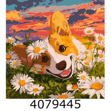 Картина по номерам 40*40см 