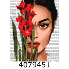 Картина по номерам 40*50см 