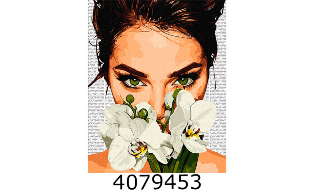 Картина по номерам 40*50см 