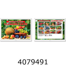 Календар 2026 настін. горизонт. 338*243мм Експрес Удачі 