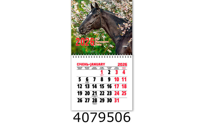 Календар 2026 на магніті малий 200*110мм 