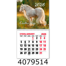 Календар 2026 на магніті малий 200*110мм 