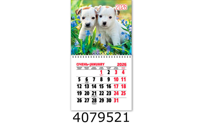 Календар 2026 на магніті малий 200*110мм 