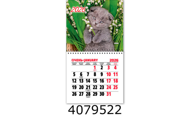 Календар 2026 на магніті малий 200*110мм 
