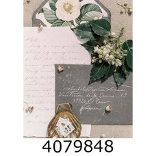 Ф/а 200ф. PP-46200 Letters (листи)(24) PP-46200